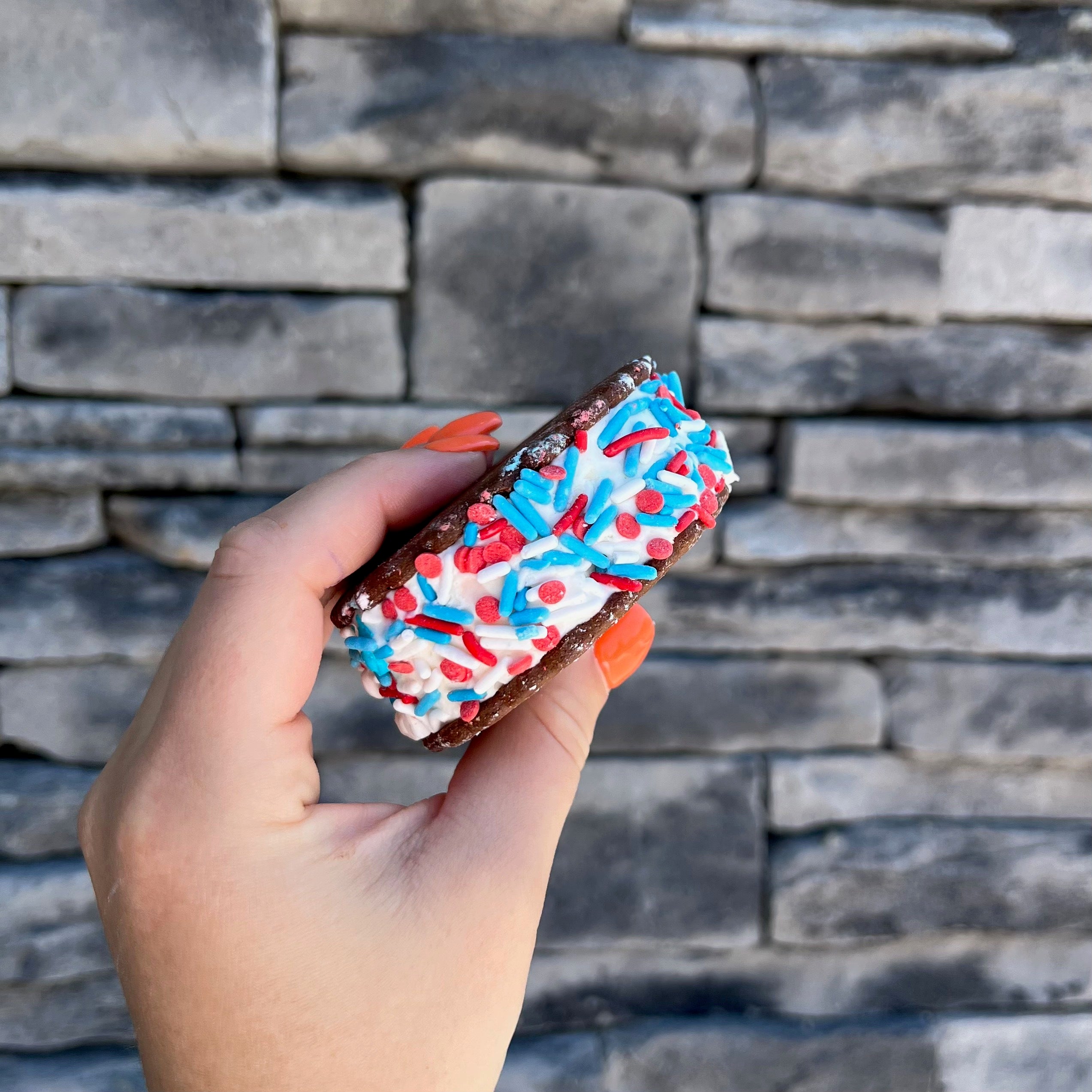 Ice Cream Sandwiches (6 pk) Jersey Cow Ice Cream